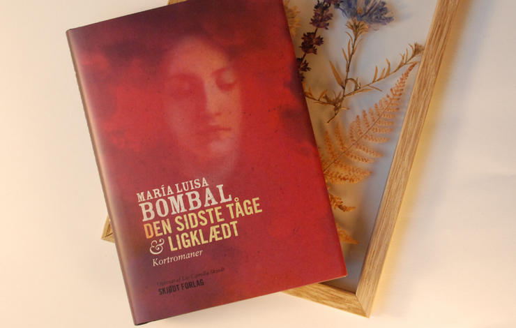 Efterord til Den sidste tåge & Ligklædt