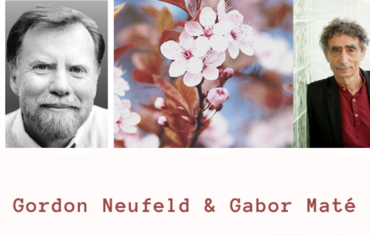 Neufeld & Maté: Dit barn har brug for DIG